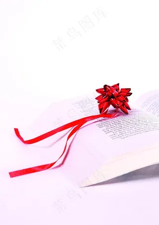 翻开的书图片