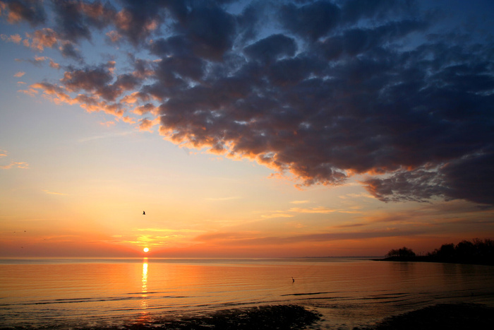 夕阳海景图片