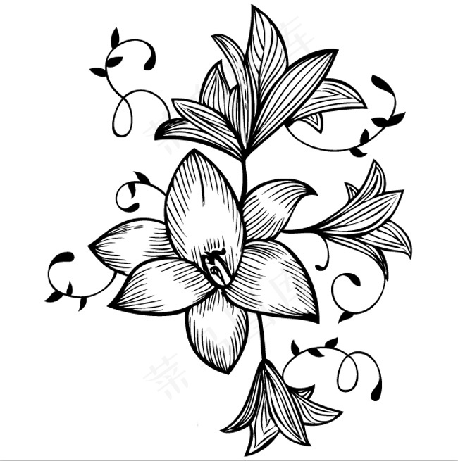 牵牛花花纹eps,ai矢量模版下载