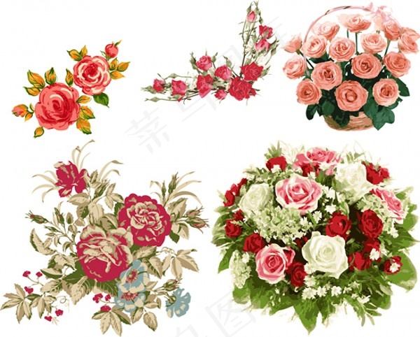 细腻彩绘玫瑰花束eps,ai矢量模版下载