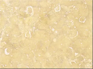 现代豪华暖色装修