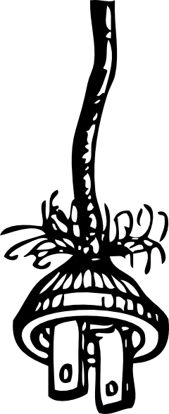 磨损的插头电危险剪贴画