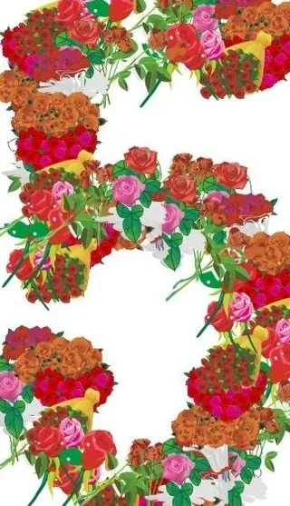 玫瑰花组成的数字5图片