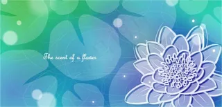 荷花背景素材矢量图