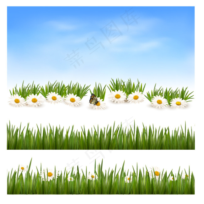 草地 绿草 花朵 鲜花 菊花 野菊花