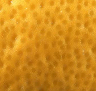 水果图片 水果图片