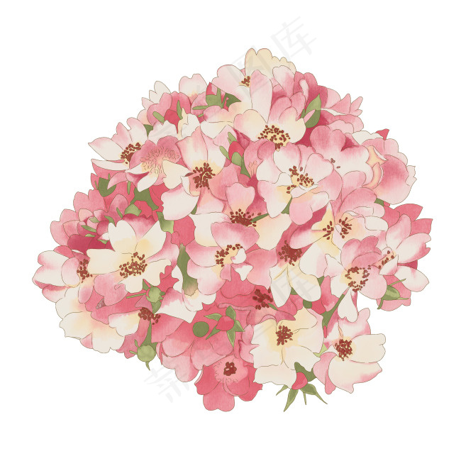 精美花朵PSD分层图