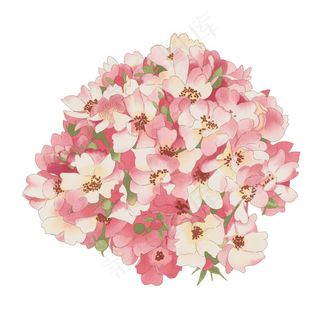 精美花朵PSD分层图