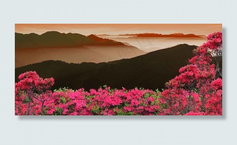 大别山 杜鹃花图片