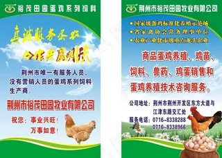 蛋鸡 饲料 易拉宝文图片