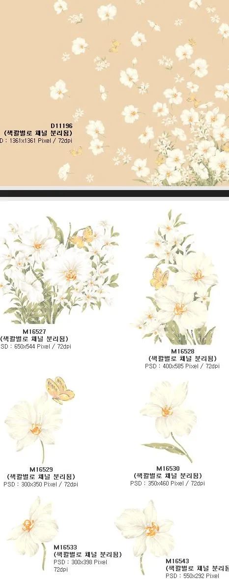 时尚蝴蝶与兰花PSD分层素材psd模版下载