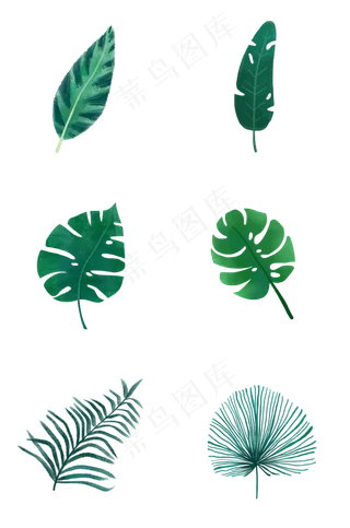 各种绿色叶子组图PNG免抠素材