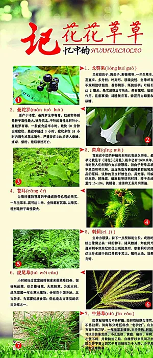 孩儿童时期的花草图片