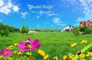 夏日绿草蓝天风景