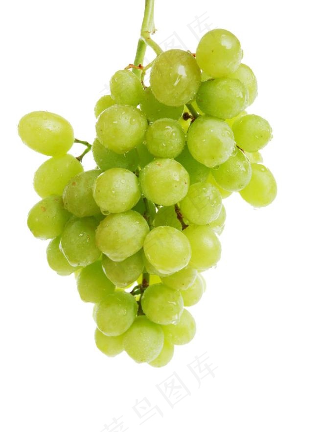 绿色葡萄