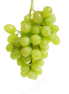绿色葡萄