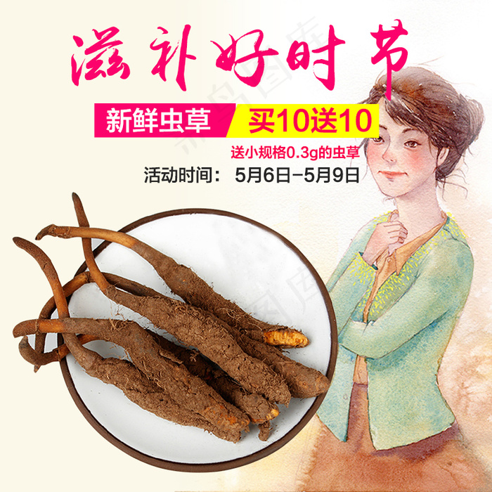 母亲节虫草主图psd模版下载