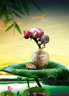 静莲PSD分层素材