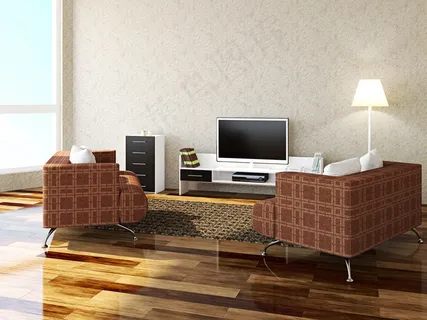 沙发与电视 沙发与电视