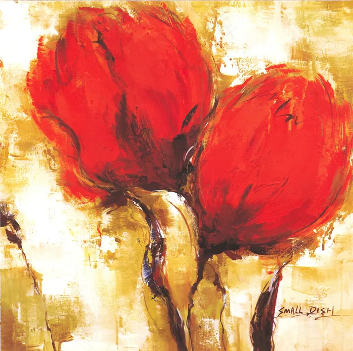 红色花朵无框画