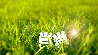 创意字体设计草地上的字