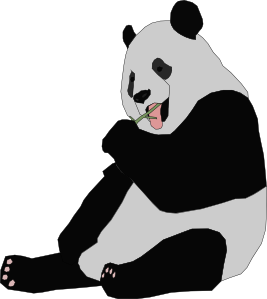 熊猫的剪辑艺术