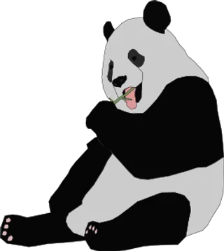 熊猫的剪辑艺术