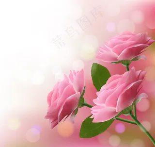 梦幻粉色玫瑰花矢量素材