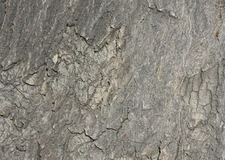 震撼破碎火花片头AE模板