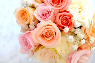 美丽玫瑰花背景