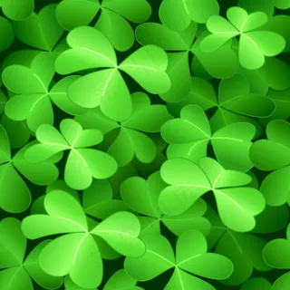 杏仁叶组合矢量素材