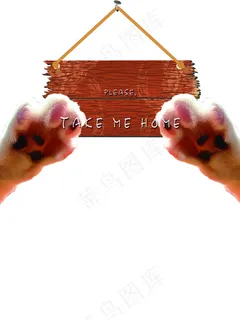 猫咪猫爪子高清