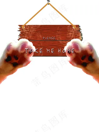 猫咪猫爪子高清