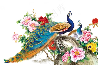 唯美孔雀开屏卡通孔雀图片png设计...
