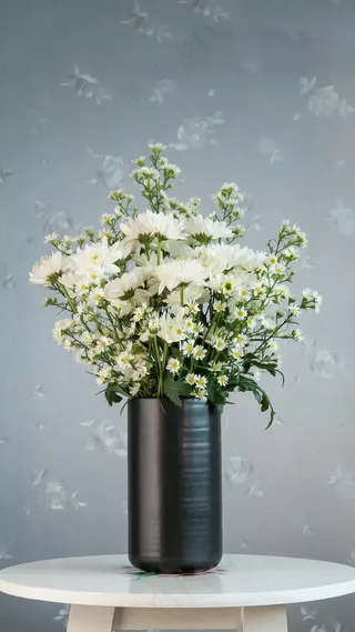 菊花高清摄影图片 