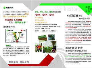 蔬菜配送三折页图片