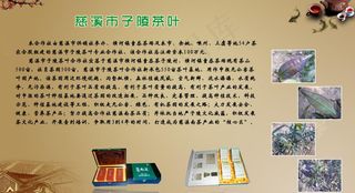 茶叶展板广告设计图片