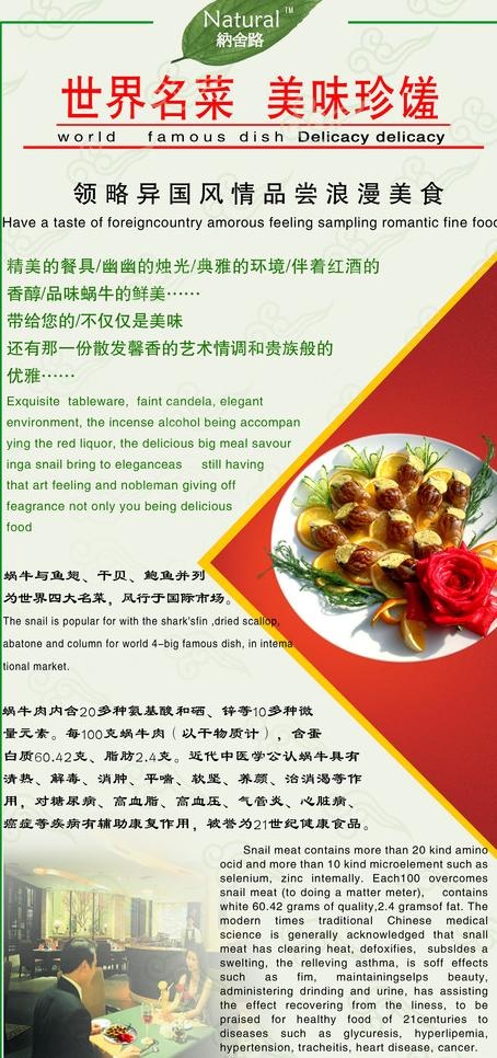 x展架图片psd模版下载