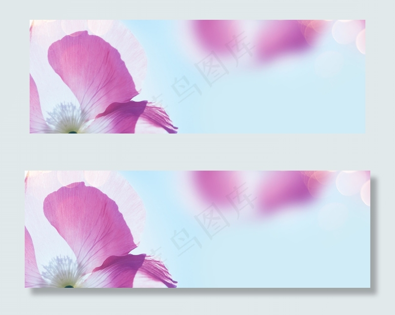 奢华花朵女士包包背景banner　