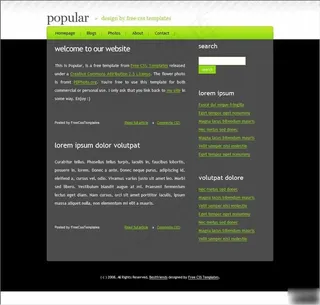 设计信息博客网页模板