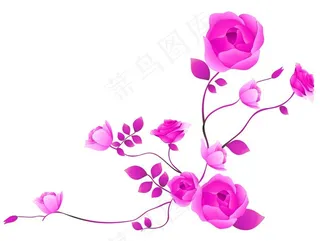 高清玫瑰 时尚玫瑰 一支玫瑰图片