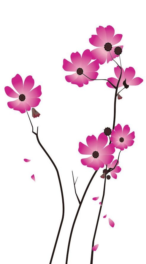 花卉图片cdr矢量模版下载