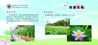 淡淡幽香 溢满校园图片