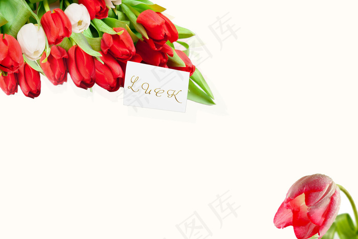 现代唯美简约高雅高贵清新玫瑰花束背...