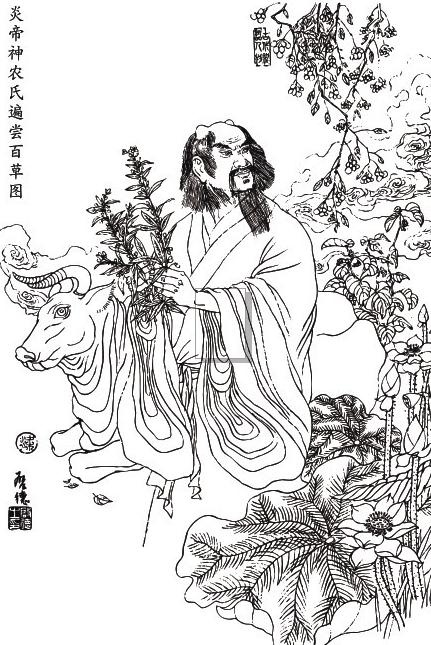炎帝神农氏遍尝百草图矢量素材cdr矢量模版下载