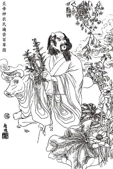 炎帝神农氏遍尝百草图矢量素材cdr矢量模版下载