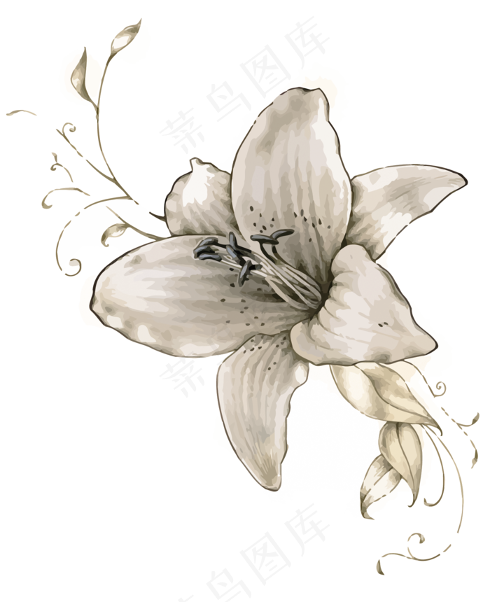 美丽鲜花花朵花束免扣png素材