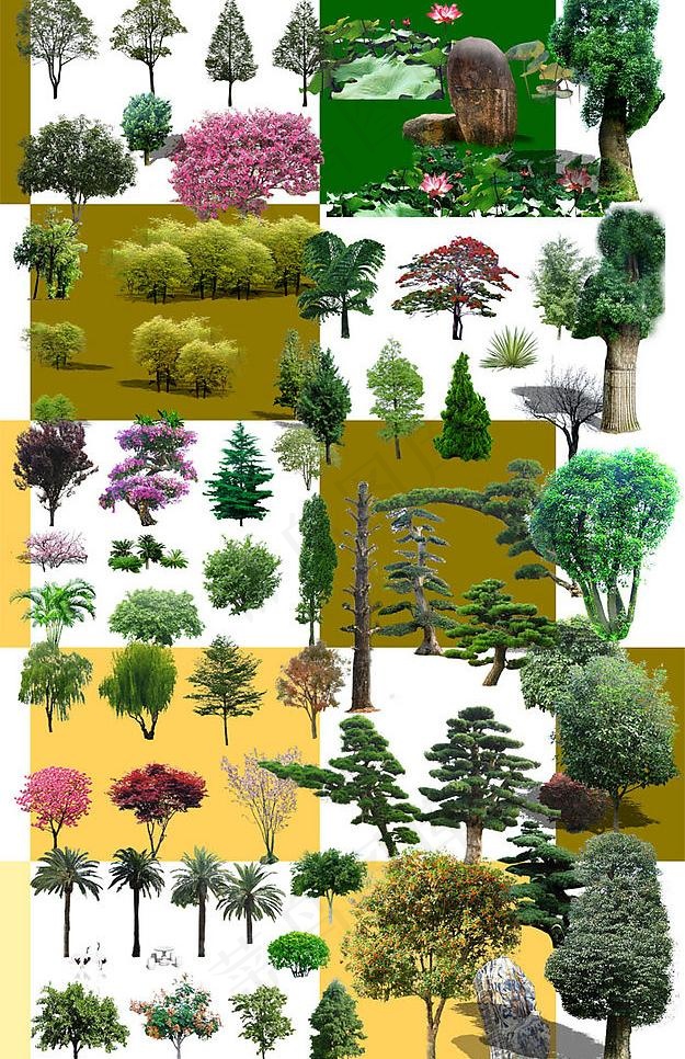 园林绿化素材(树)图片psd模版下载