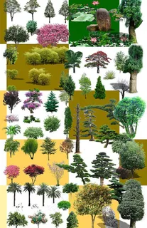 园林绿化素材(树)图片