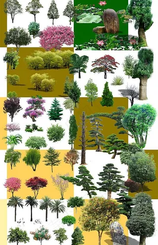 园林绿化素材(树)图片